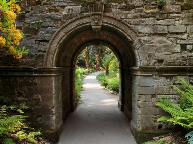 Hever Gardens, Hever Castle & Gardens, Hever, Edenbridge, Kent, İngiltere, İngiltere