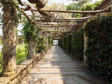 Hever Gölü, Hever Şatosu & Gardens, Hever, Edenbridge, Kent, İngiltere, Birleşik Krallık 'a giden bir sarmaşık geçidi.