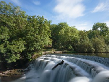 Wye nehrindeki şelale Monsal Dale, Peak District Ulusal Parkı, Little Longstone, Bakewell, Birleşik Krallık