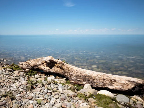 Driftwood washed up on a shingle beach at Queen\'s Royal Park. The park sits at the mouth of the Niagara River on Lake Ontario. Niagara-on-the-Lake, Ontario, Canada