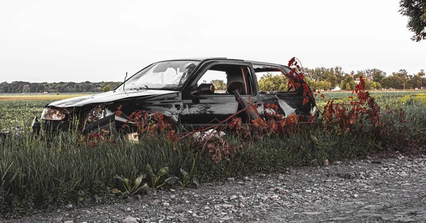 道路の近くのフィールドで壊れたと放棄された車 — ストック写真