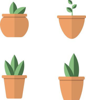 arkaplan, botanik, botanik, dekoratif, tasarım, ekoloji, element, düz, çiçek, bahçe, yeşil, büyüme, ikon, ev, ev, ikon, resimleme, kapalı, izole, yaprak, doğal, bitki, saksı, saksı