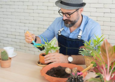 Masada oturan yaşlı adamlar. Ağaç dikmek ve mutlu görünmek gibi bir hobim var..