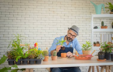 Yaşlı adamlar giyinmeyi seviyorlar. Hobileriyle mutlular. Büyük bir masada oturuyorlar ve diktiğim ağaçları izliyorlar.