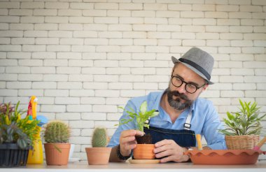 Yaşlı adamlar giyinmeyi seviyorlar. Hobileriyle mutlular. Büyük bir masada oturuyorlar ve diktiğim ağaçları izliyorlar.
