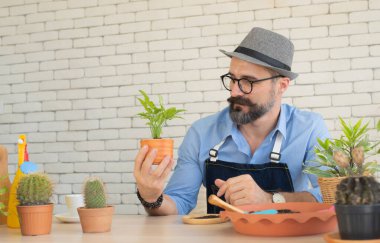 Masada oturan yaşlı adamlar ağaç dikerek bir hobi ediniyorlar. Ellerindeki ağaca hayranlık duyuyorlar. Mutlu görünüyorlar.