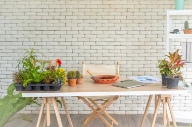 Çalışma masası olan bir oda ve masada bir sürü ağaç vardı. Hobi konseptinde ağaçların düzenlenmesi ve bitkilerin bakımıyla ilgili bilgi edinmek için bir dizüstü bilgisayarla birlikte.