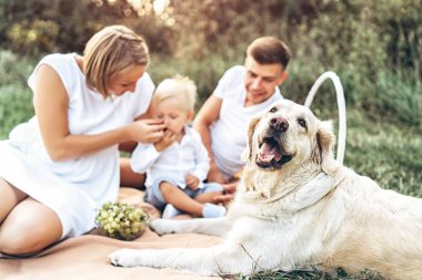 Genç aile pikniği ile köpek üzerinde oldukça