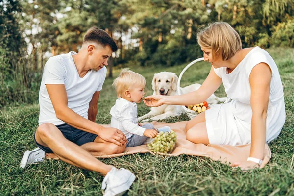 Joven Bonita Familia Picnic Con Perro — Foto de Stock