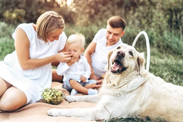 Young pretty family on picnic with dog