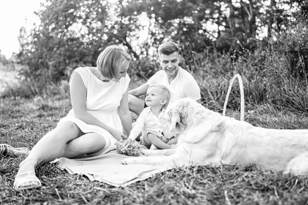 Giovane Bella Famiglia Picnic Con Cane — Foto Stock