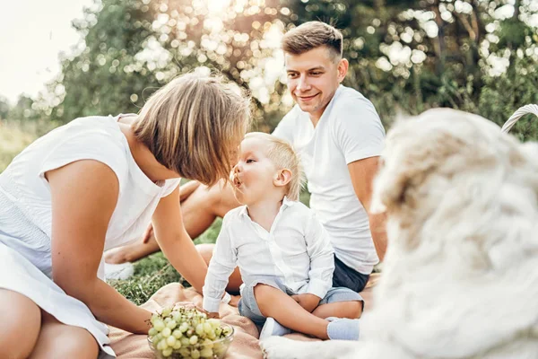 Mladá Hezká Rodina Piknik Psem — Stock fotografie