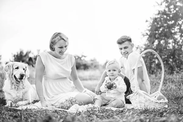 Junge Hübsche Familie Beim Picknick Mit Hund — Stockfoto