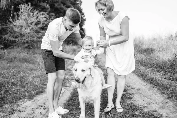 Glad Ung Familj Med Hund Kul Utomhus — Stockfoto