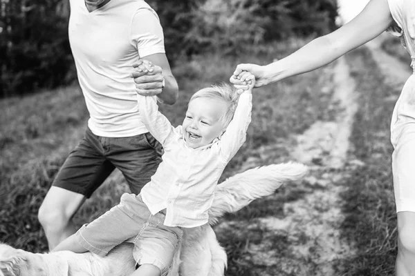 Feliz Familia Joven Con Perro Divertirse Aire Libre — Foto de Stock