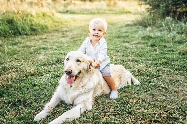 Bonito Menino Divertindo Com Cão — Fotografia de Stock