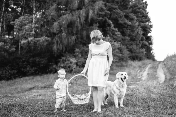 Madre Con Piccolo Figlio Cane Picnic All Aperto — Foto Stock