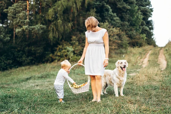 Madre Con Pequeño Hijo Perro Picnic Aire Libre — Foto de Stock