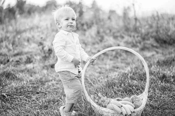 Mignon Petit Bébé Garçon Avoir Amusant Plein Air — Photo