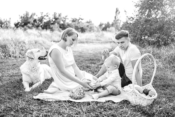 Giovane Bella Famiglia Picnic Con Cane — Foto Stock