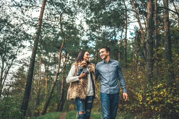 小さなヨークシャー テリア 森を歩くときれいなカップル — ストック写真