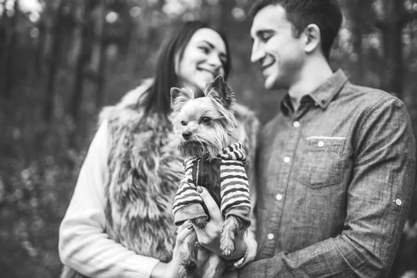 Joli Couple Avec Petit Terrier Yorkshire Marchant Dans Forêt — Photo