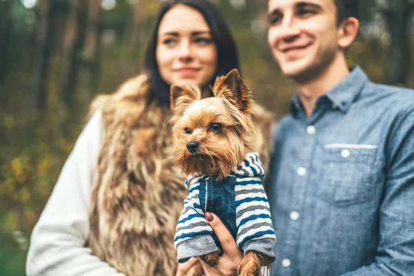 Bella Coppia Con Piccolo Yorkshire Terrier Piedi Nella Foresta — Foto Stock