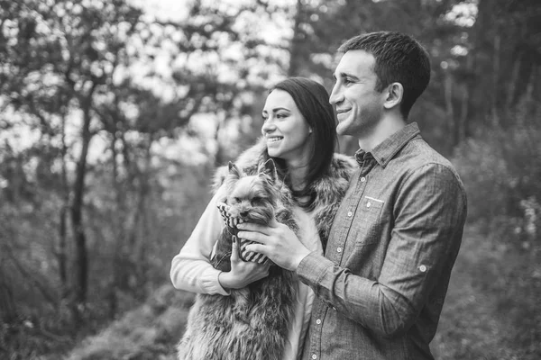 Joli Couple Avec Petit Terrier Yorkshire Marchant Dans Forêt — Photo