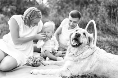 küçük çocuk yorgan çayır üzerinde piknik veliler ile otururken yeme