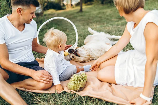 Joven Bonita Familia Con Perro Relajante Picnic Prado — Foto de Stock