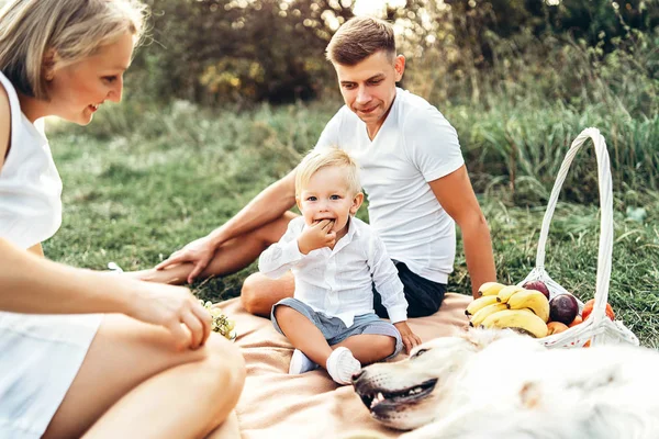 Niño Pequeño Comiendo Sentado Con Los Padres Cubierta Picnic Prado — Foto de Stock