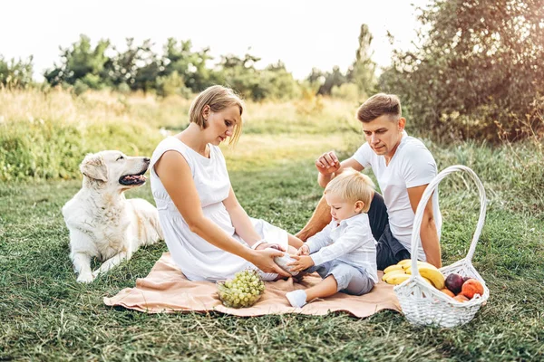 Joven Bonita Familia Con Perro Relajante Picnic Prado — Foto de Stock