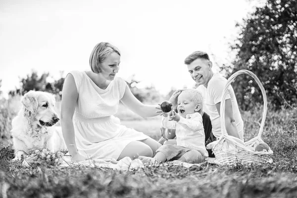 Giovane Bella Famiglia Picnic Con Cane Sul Prato — Foto Stock