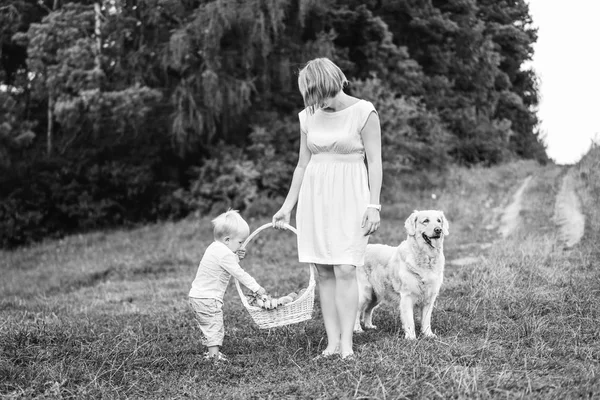 Mãe Com Pequeno Filho Cachorro Piquenique Livre — Fotografia de Stock