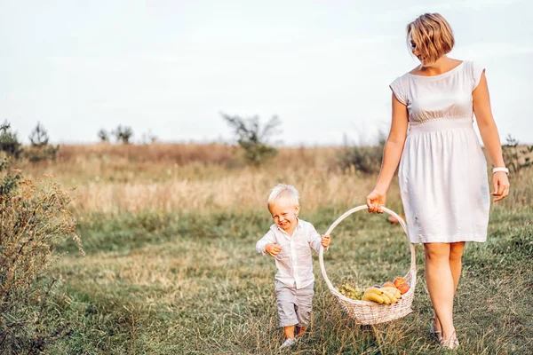 Madre Con Hijo Pequeño Llevando Cesta Picnic Mientras Camina Prado — Foto de Stock