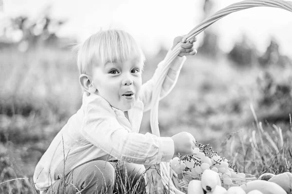 Schattige Kleine Babyjongen Met Picknickmand Plezier Buiten — Stockfoto