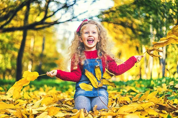 Menina Feliz Segurando Ramos Com Folhas Outono Divertindo Parque Tempo — Fotografia de Stock