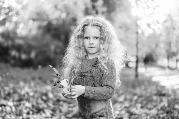 Bambina Con Capelli Ricci Che Tiene Foglie Autunnali Diverte Nel — Foto Stock