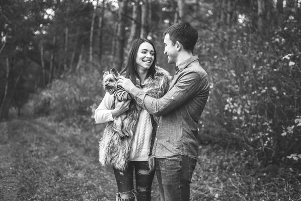 Casal Bonito Com Pouco Yorkshire Terrier Andando Floresta — Fotografia de Stock