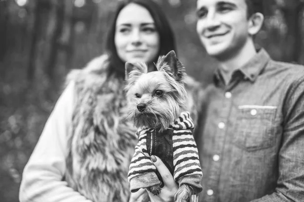 Casal Bonito Com Pouco Yorkshire Terrier Andando Floresta — Fotografia de Stock