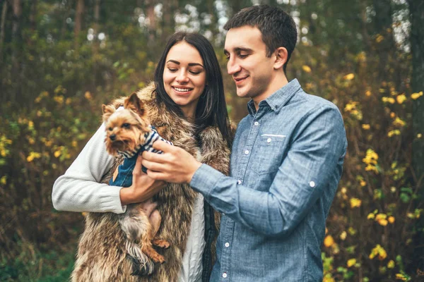 Bella Coppia Con Piccolo Yorkshire Terrier Piedi Nella Foresta — Foto Stock