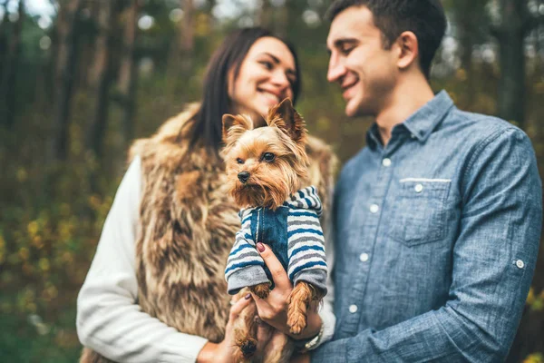 Casal Bonito Com Pouco Yorkshire Terrier Andando Floresta — Fotografia de Stock