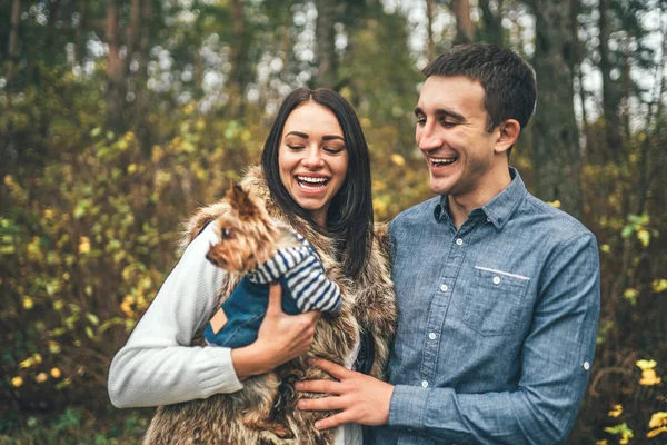 Joli Couple Avec Petit Terrier Yorkshire Marchant Dans Forêt — Photo