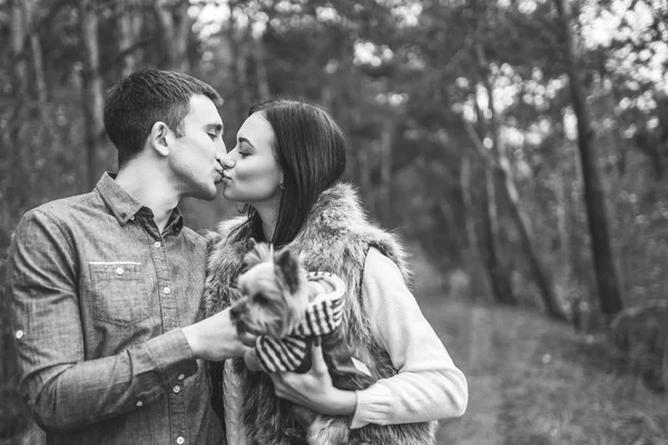 Linda Pareja Con Poco Yorkshire Terrier Caminando Bosque — Foto de Stock