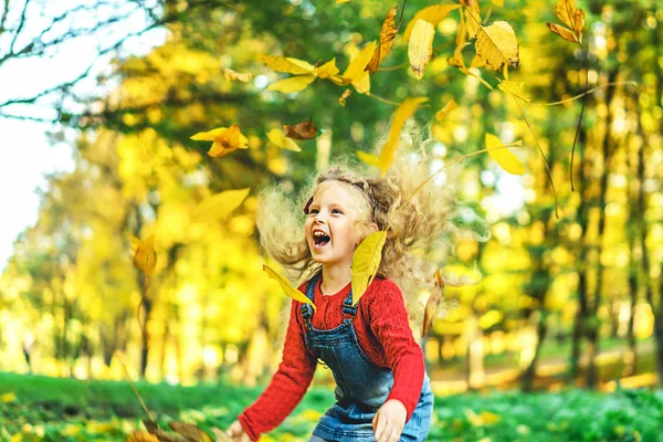 Sevimli Küçük Kız Var Eğlenceli Park Sonbahar — Stok fotoğraf