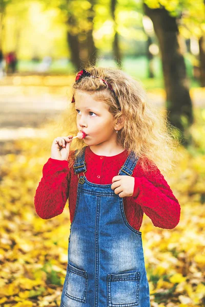 Милая Маленькая Девочка Повеселись Парке Осеннее Время — стоковое фото
