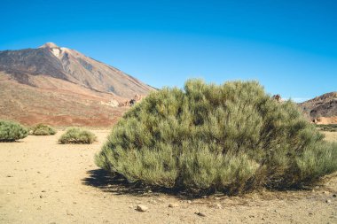 Teide Yanardağı tenerife adasında, İspanya ile manzara