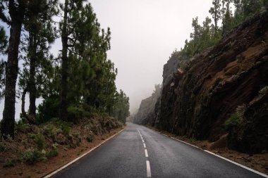 Mountais orman ile siste boş yolda