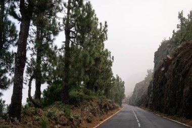 Mountais orman ile siste boş yolda