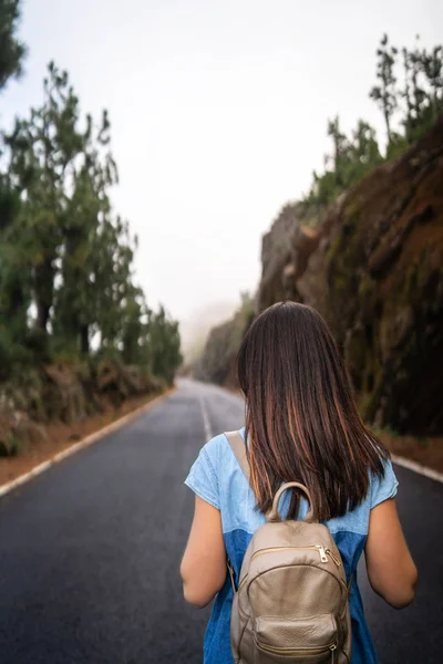 Achteraanzicht van lange haren brunette meisje lopen op de mistige weg ik — Stockfoto